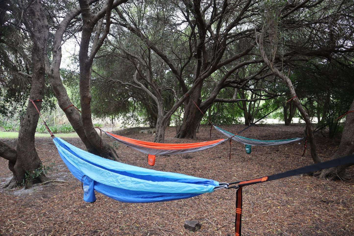 Rugged Life Heavy Duty Foldable Hammock with Daisy Chains & Carabiners - 200kg capacity - Orange
